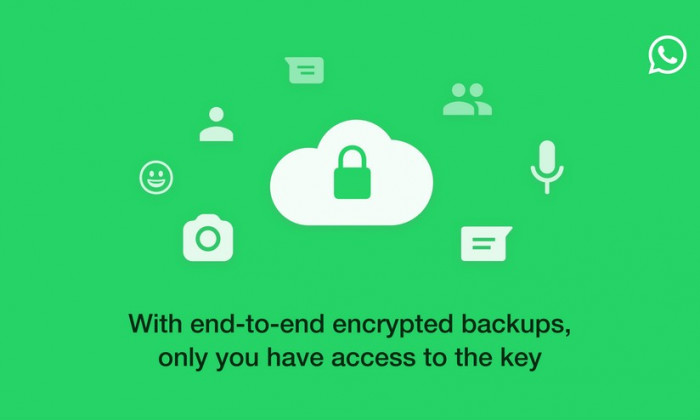 WhatsApp: Come usare il backup criptato