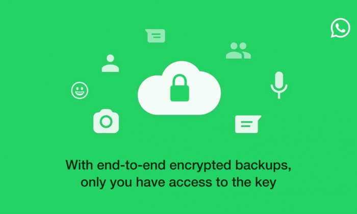 WhatsApp: Come usare il backup criptato WhatsApp: Come usare il backup criptato