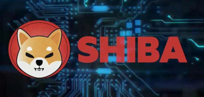 Trading online Shiba Inu è da oggi disponibile su Kraken. Ecco le migliori alternative Trading online Shiba Inu è da oggi disponibile su Kraken. Ecco le migliori alternative