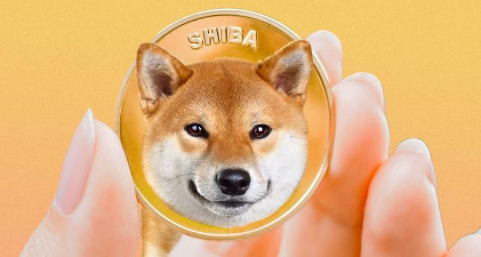 Comprare Shiba Inu per sfruttare nuovi progetti DeFi e Metaverso? Comprare Shiba Inu per sfruttare nuovi progetti DeFi e Metaverso?