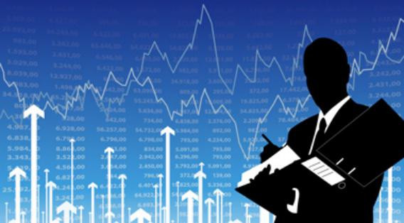 fund manager fund manager