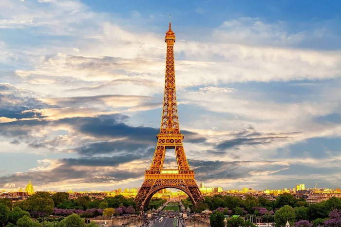 francia francia