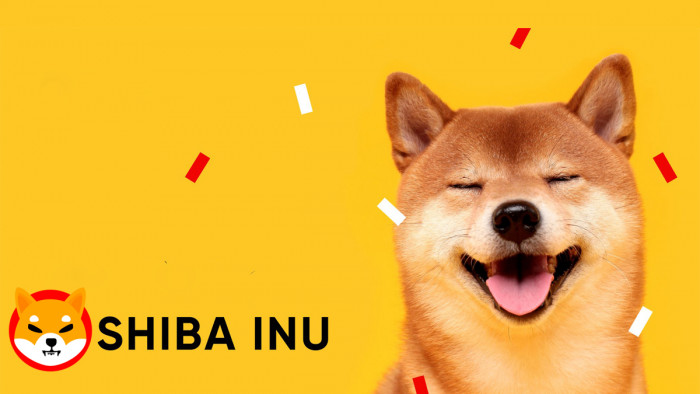 Comprare Shiba Inu dopo listing su RobinHood? E' boom dei prezzi anche oggi Comprare Shiba Inu dopo listing su RobinHood? E' boom dei prezzi anche oggi