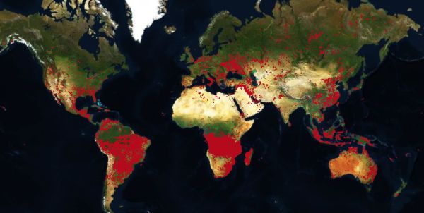Fire%20map