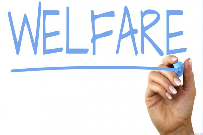 Welfare%20enasco%202019